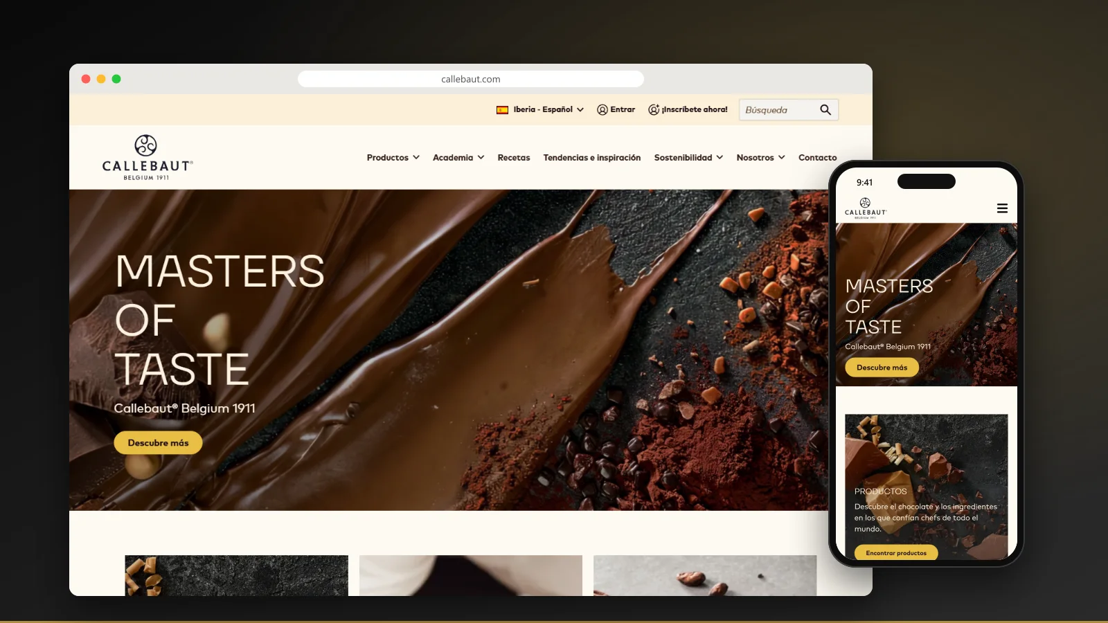 Capture du site de Callebaut - Étude de cas Ad2Place